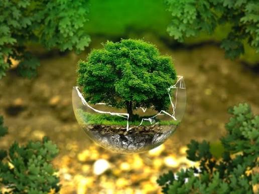 Gestión Ambiental 3